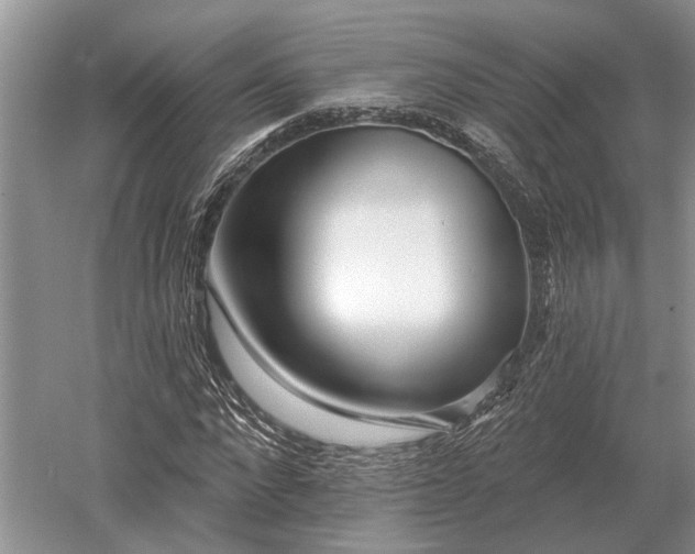 X0000052980872200507151825