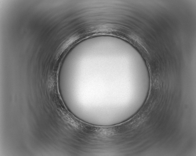 X0000052980874200507151825