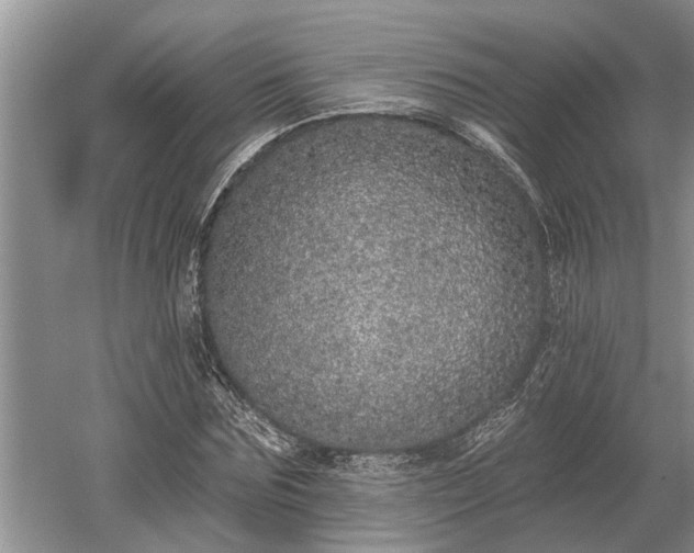 X0000052980875200507151825