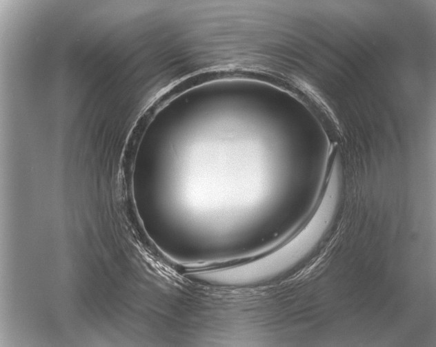 X0000052980876200507151825