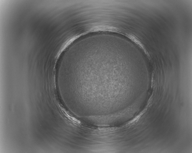 X0000052980877200507151825