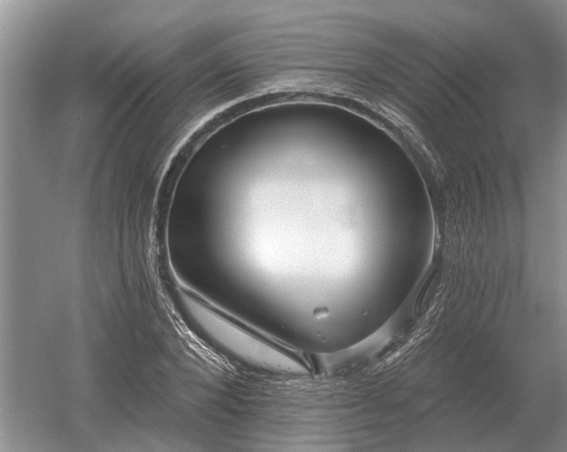 X0000052980880200507151825