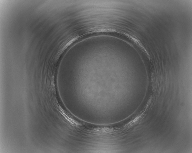 X0000052980881200507151825