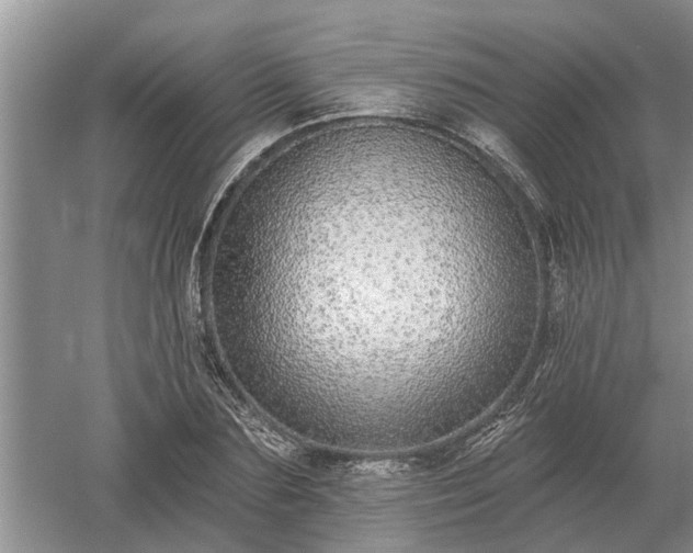 X0000052980883200507151825