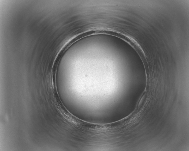 X0000052980887200507151825