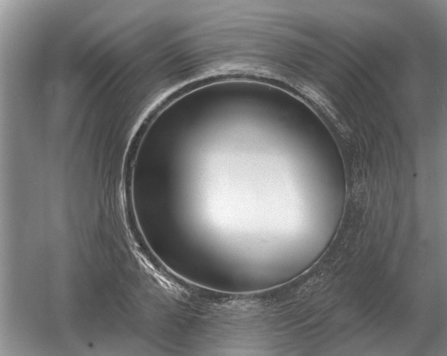 X0000052980888200507151825