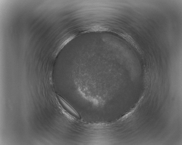 X0000052980889200507151825