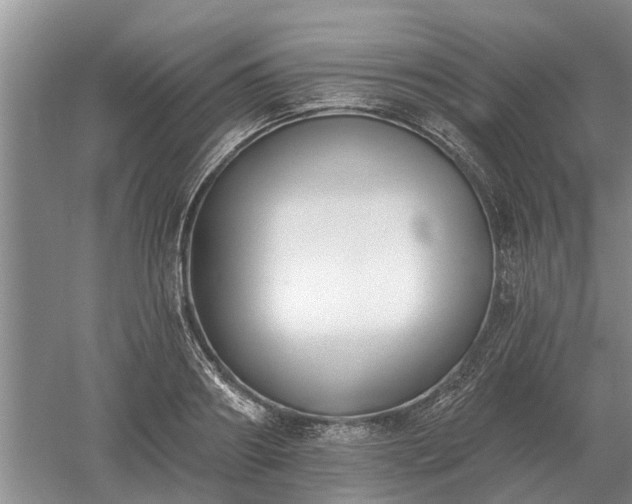 X0000052980890200507151825