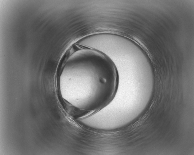 X0000052980891200507151825