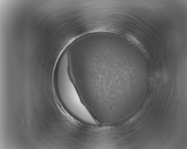 X0000052980892200507151825