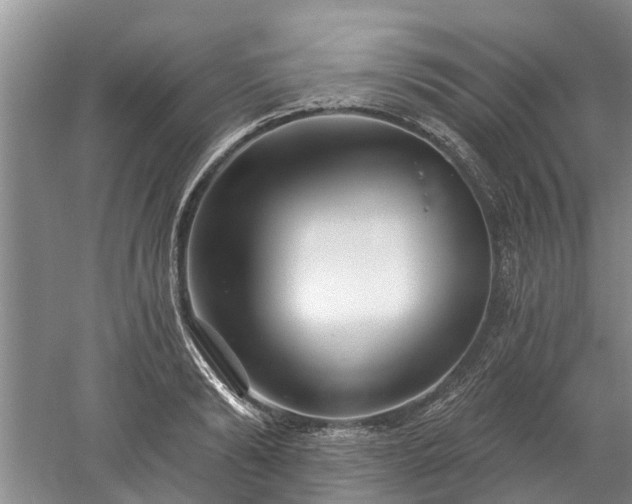 X0000052980894200507151825