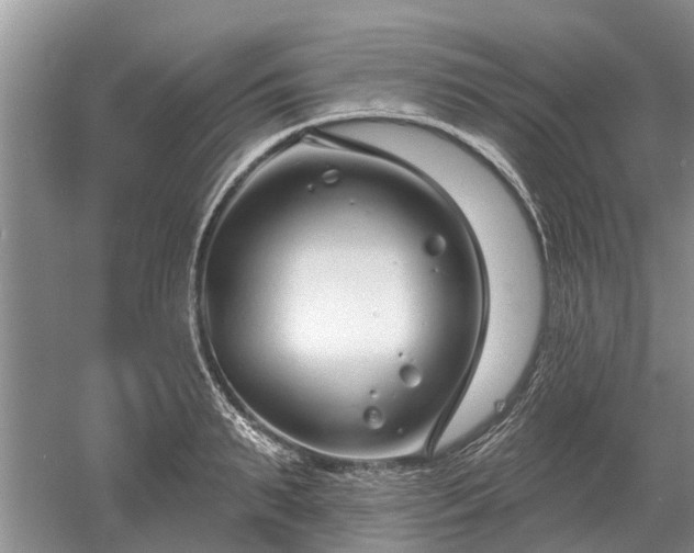 X0000052980895200507151825