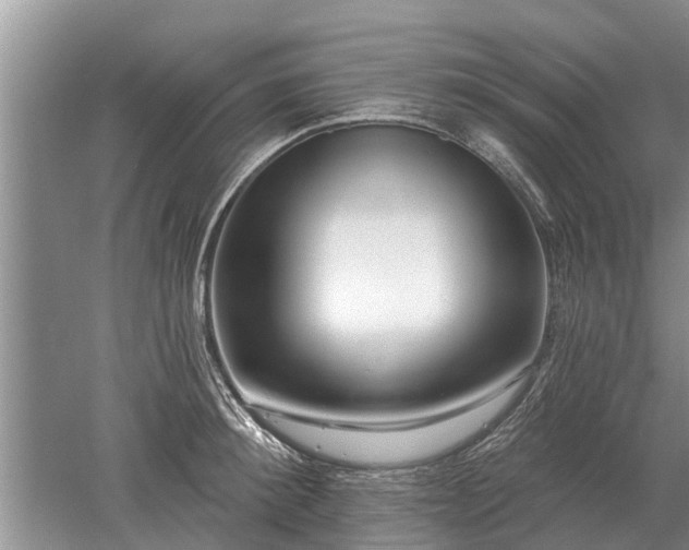 X0000052980900200507151825