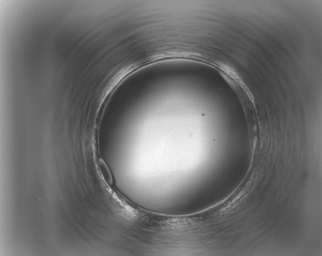 X0000052980906200507151825