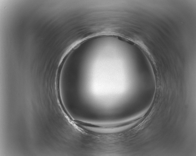 X0000052980910200507151825