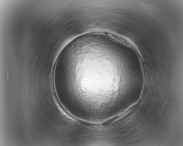 X0000052980911200507151825