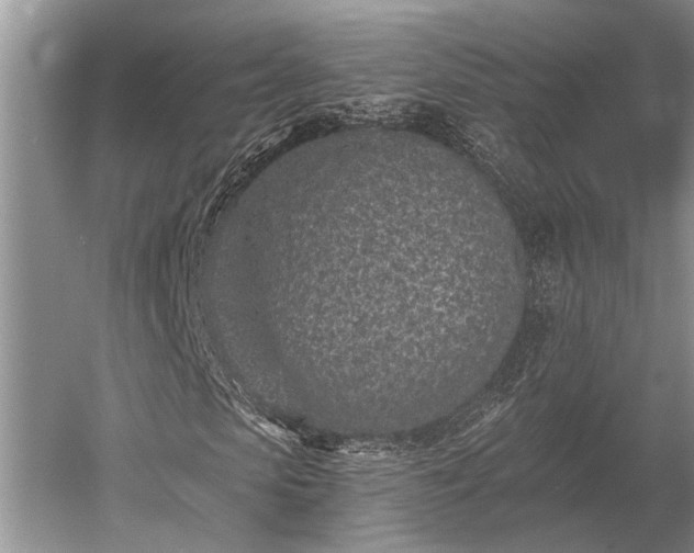 X0000052980913200507151824