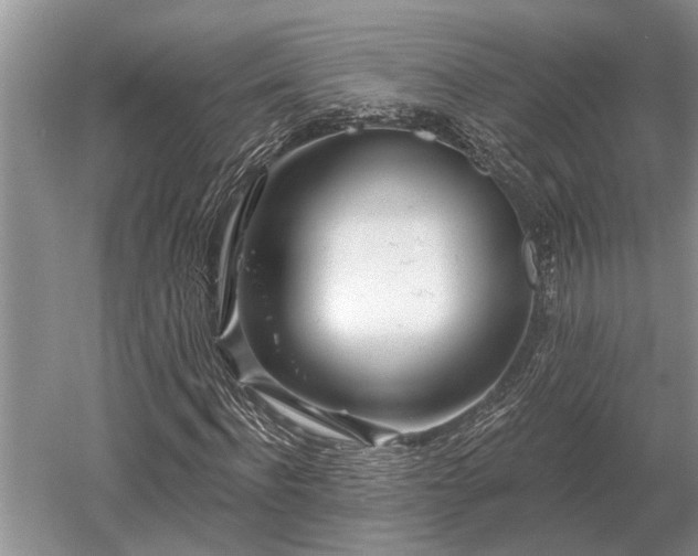 X0000052980916200507151824