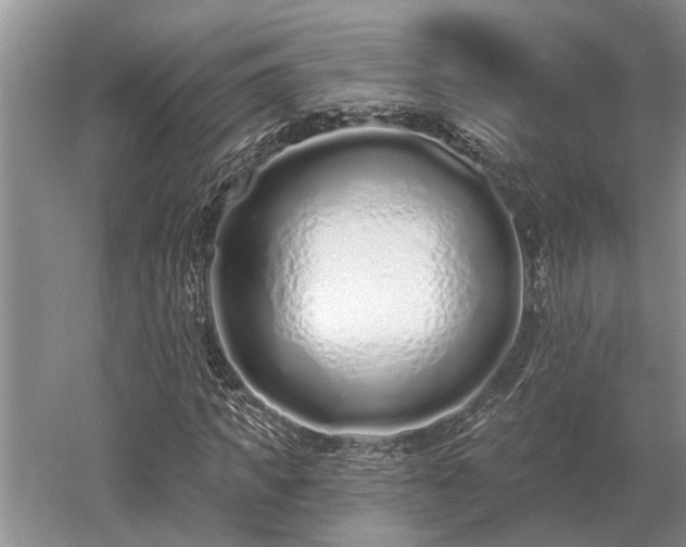 X0000052980917200507151824