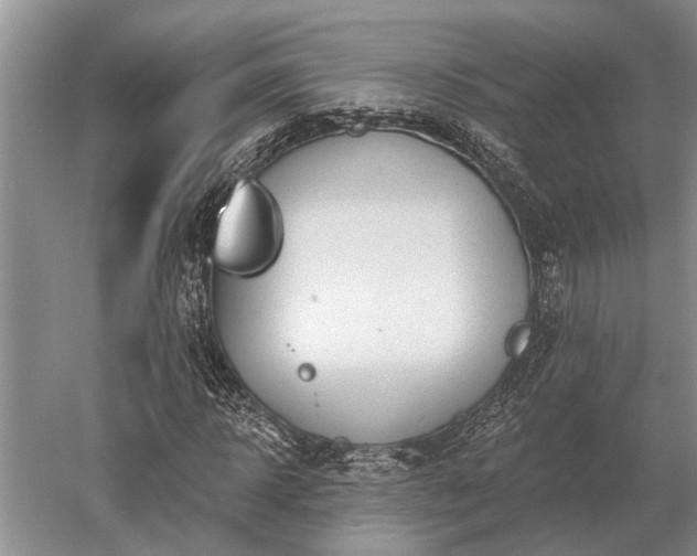 X0000052980918200507151824