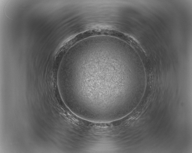 X0000052980919200507151824