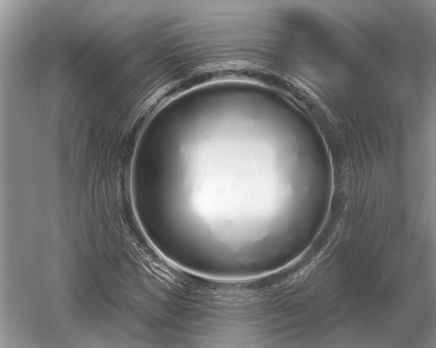 X0000052980921200507151824