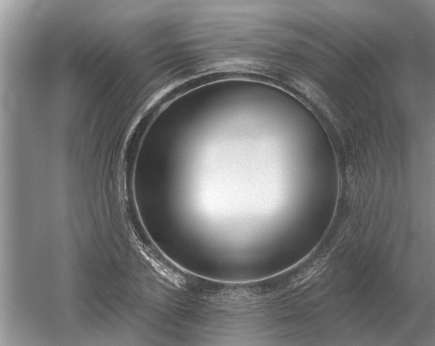 X0000052980931200507151824