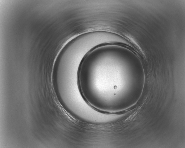 X0000052980932200507151824