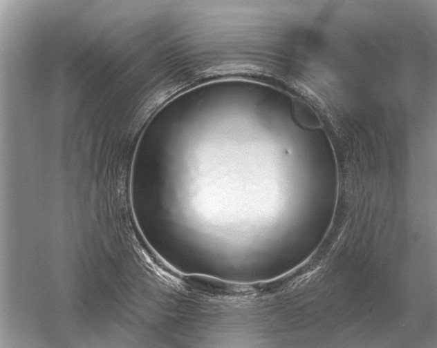 X0000052980937200507151824