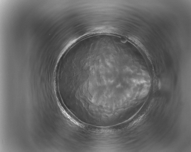 X0000052980941200507151824