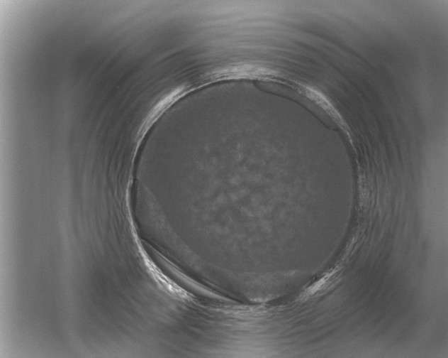 X0000052980946200507151824