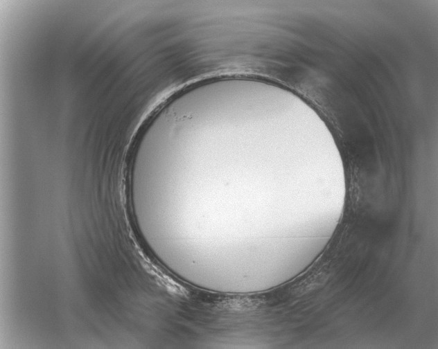 X0000052980950200507151824