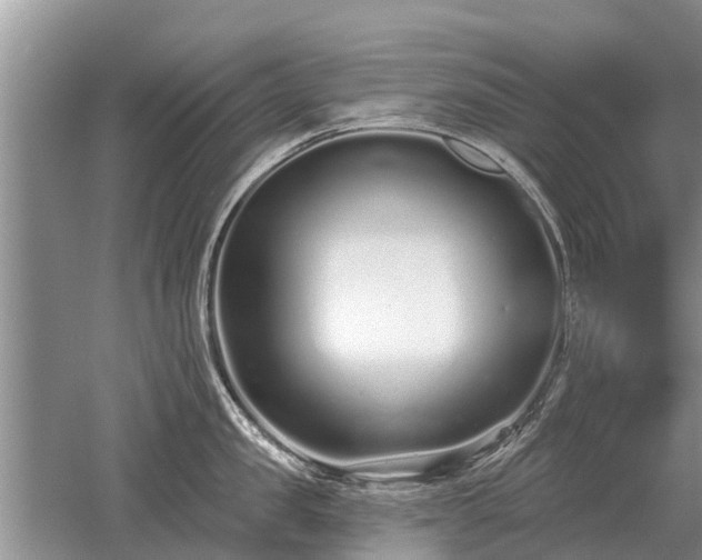 X0000052980957200507151825