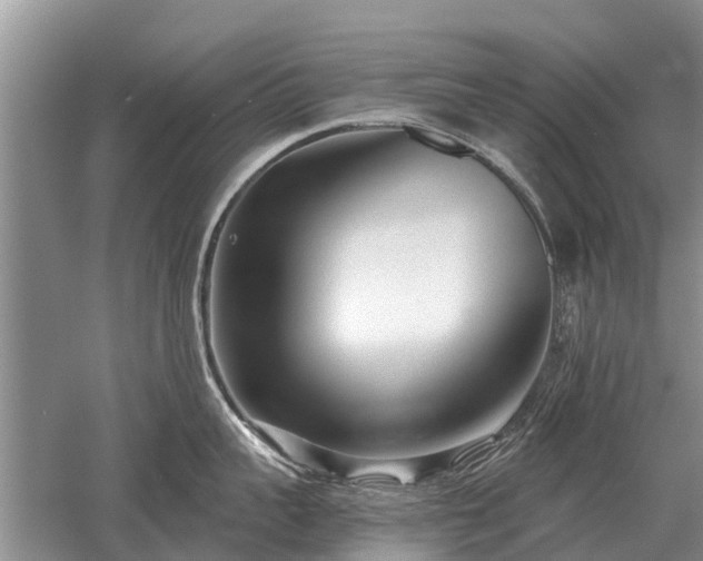 X0000052980959200507151825