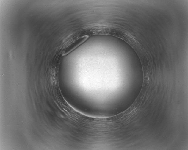 X0000052980964200507151824