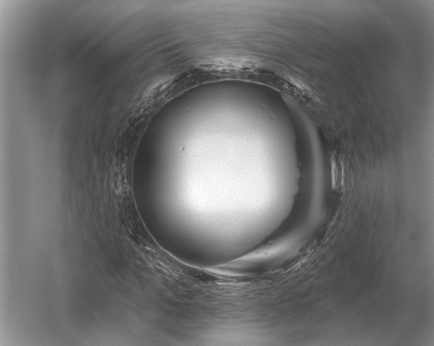 X0000052980965200507151824