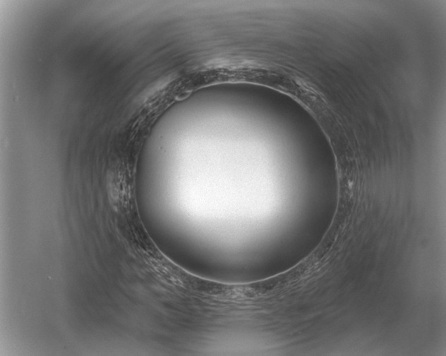 X0000052980966200507151824