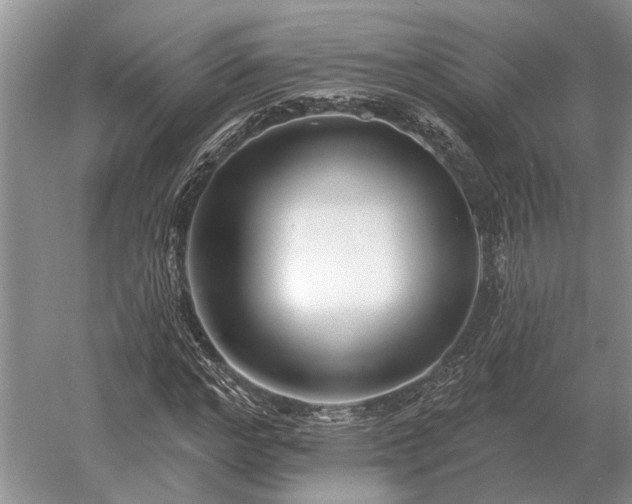 X0000052980968200507151824