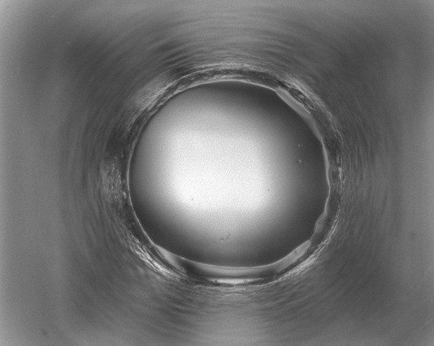 X0000052980969200507151824