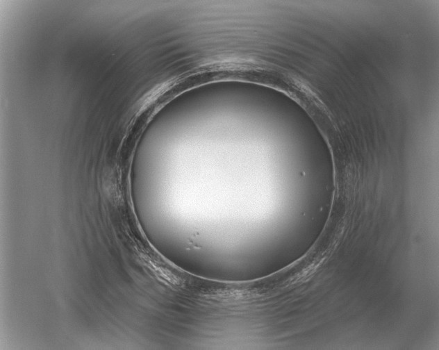 X0000052980970200507151824