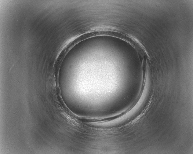 X0000052980973200507151824