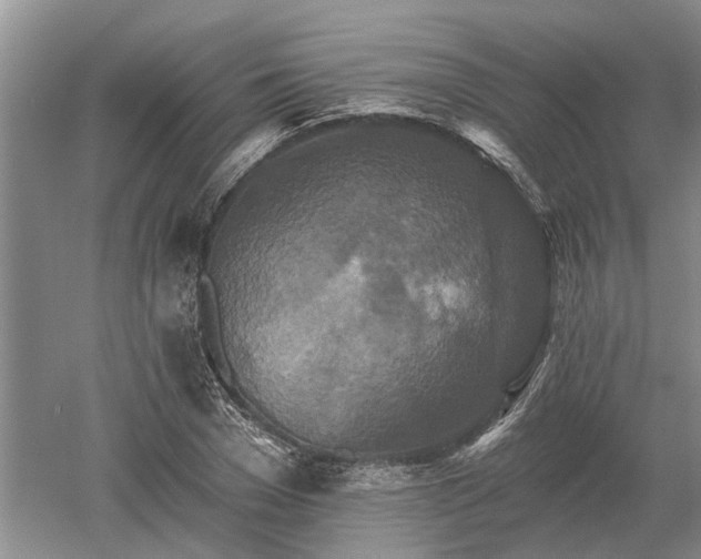 X0000052980977200507151824