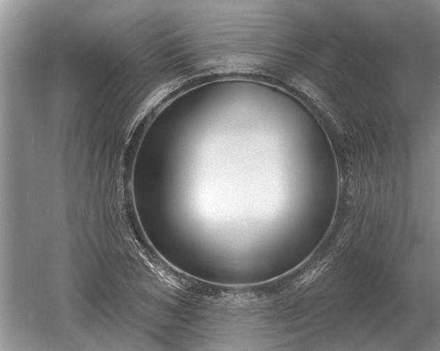 X0000052980978200507151824