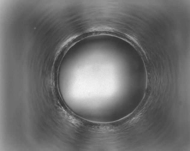 X0000052980979200507151824