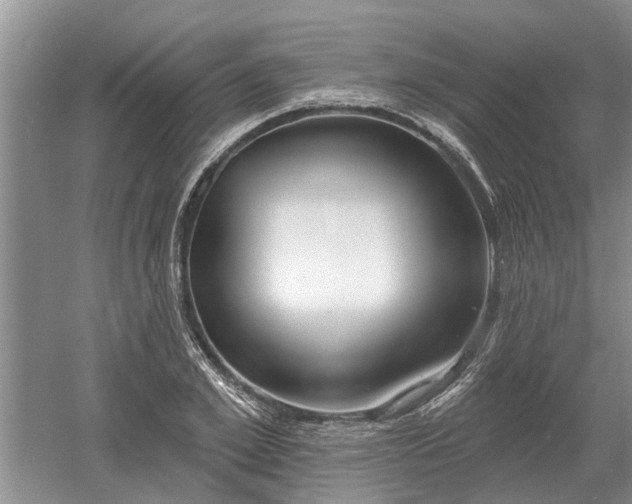 X0000052980981200507151823