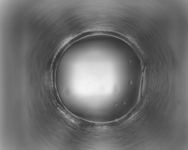 X0000052980982200507151823