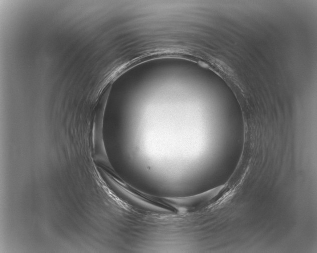 X0000052980985200507151823