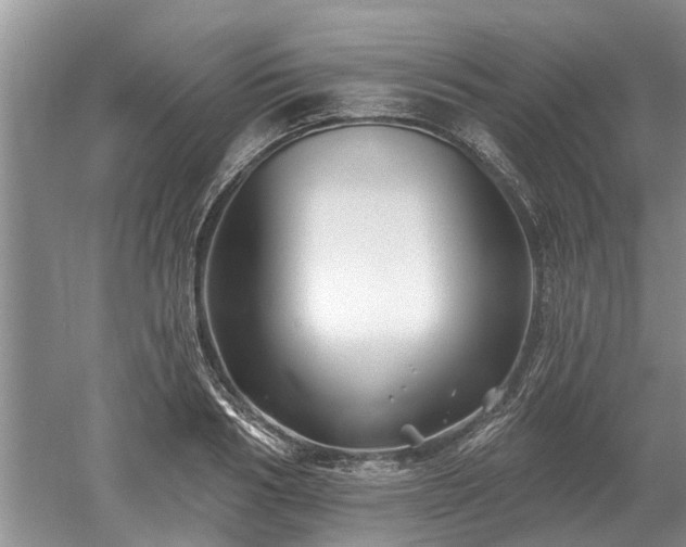 X0000052980986200507151823