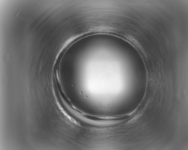 X0000052980989200507151823