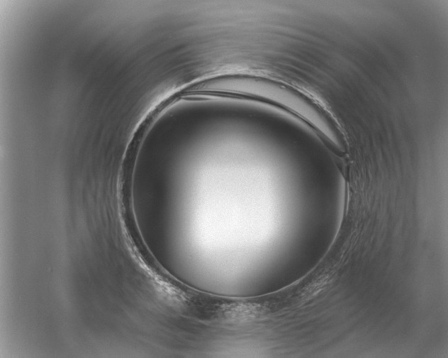 X0000052980991200507151823